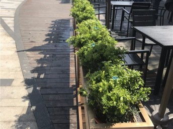 圖 別墅庭院花園設計施工 園林園藝設計綠化工程養護 上海鮮花綠植