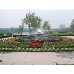 園林工程_清和園林*施工_學校園林工程