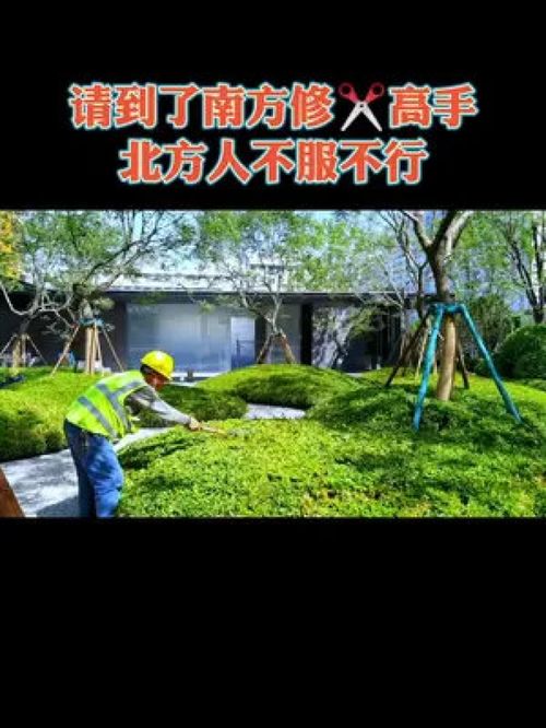 天津的園林施工水平還有很大提升空間,尤其是市政綠化,房地產近幾年已經在南方工人的帶動下有了一些進步,還需要繼續學習 園林綠化