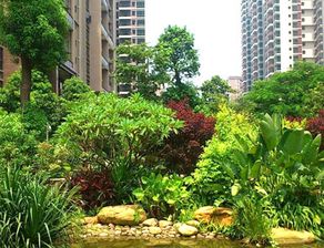 大業園林告訴你什么叫園林綠化