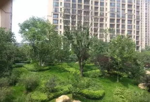 這些園林綠化工程施工技術規范,值得你花時間學習一下