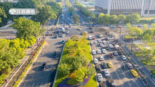江蘇電視臺江蘇直通車報道 南京玄武園林綠化工程有限責任公司