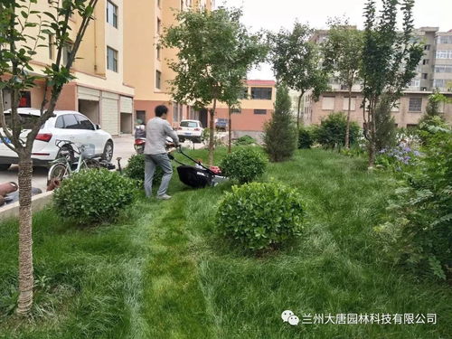 臨洮怡康苑住宅小區園林景觀綠化工程