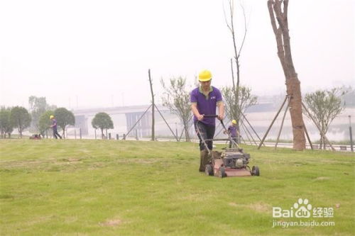 成都園林綠化養(yǎng)護修剪施工方案及操作規(guī)范
