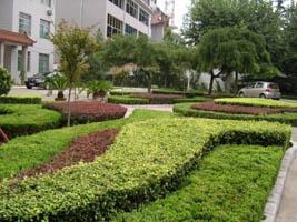 濰坊麗景園林景觀設(shè)計 2009年園林綠化工程 園林