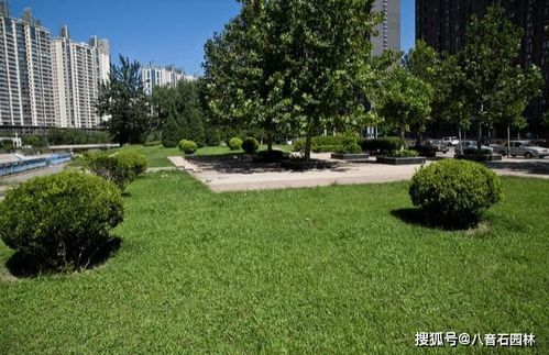 園林綠化之造景理念創(chuàng)新思維 八音石園林