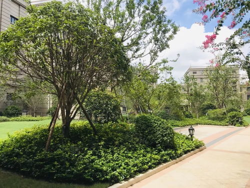 農工商綠化 工程項目榮獲上海市 園林杯 優(yōu)質工程金獎及優(yōu)質工程獎