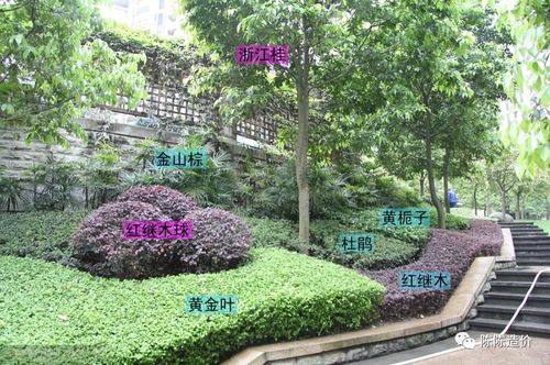 綠化養(yǎng)護期到底從哪開始計